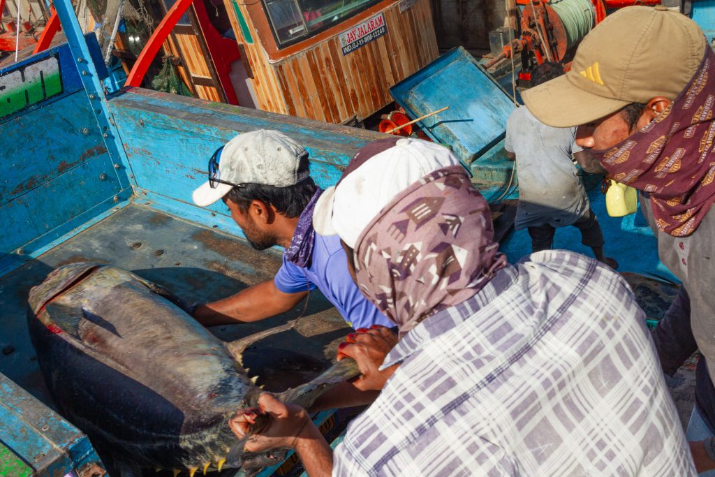 Life in a boat, the Andhra Pradesh flavour in Gujarat’s fisheries