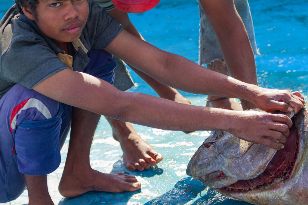 Life in a boat, the Andhra Pradesh flavour in Gujarat’s fisheries