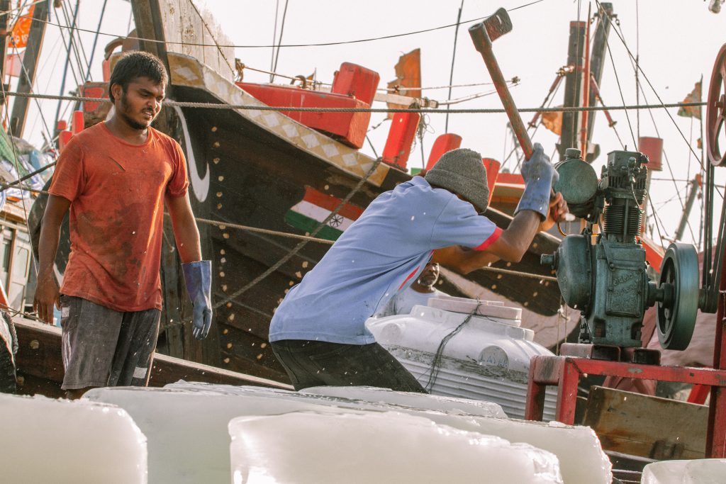 Life in a boat, the Andhra Pradesh flavour in Gujarat’s fisheries