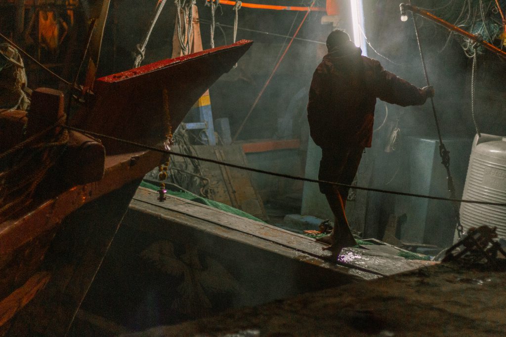 Life in a boat, the Andhra Pradesh flavour in Gujarat’s fisheries