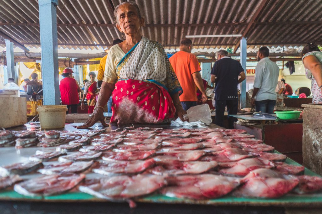 Goa, a kaleidoscopic blend where fisherfolk and environment are fighting to live in symbiosis