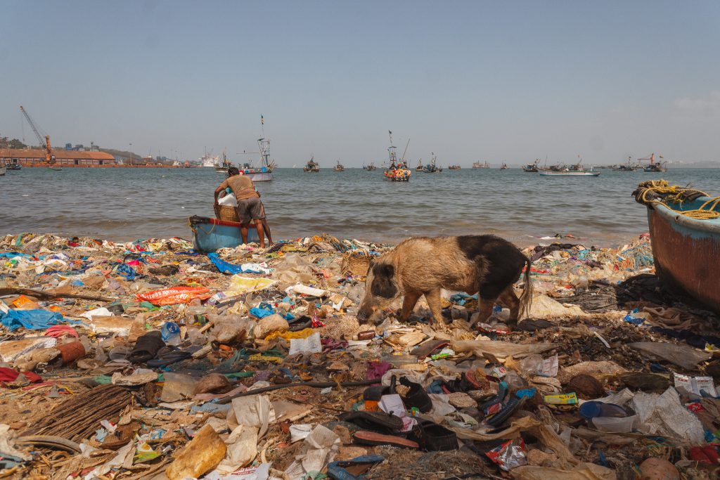 Goa, a kaleidoscopic blend where fisherfolk and environment are fighting to live in symbiosis