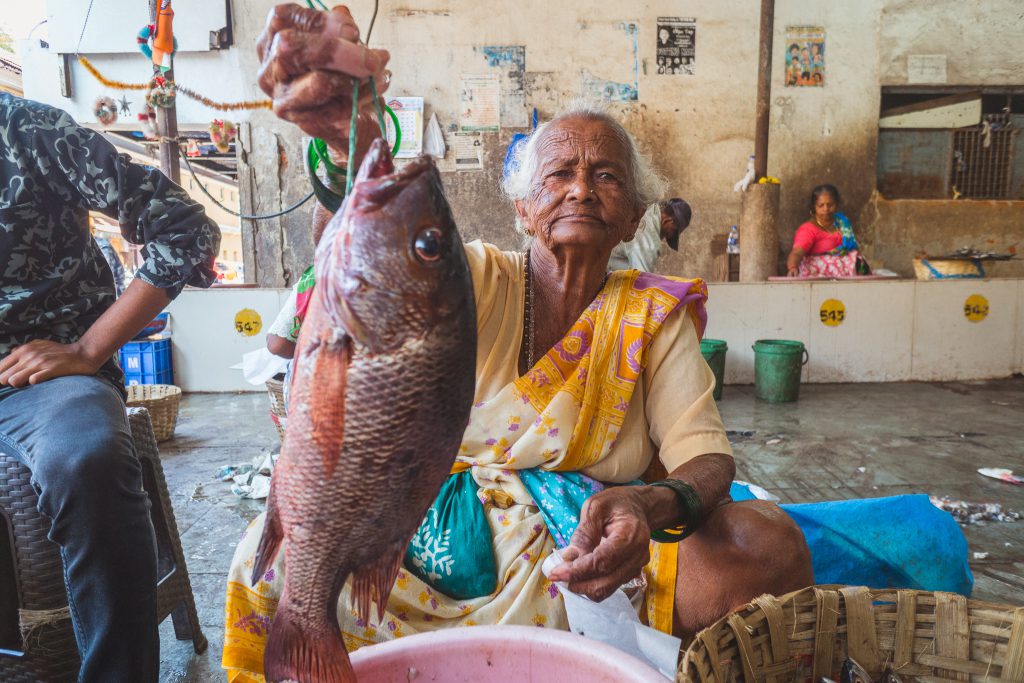 Goa, a kaleidoscopic blend where fisherfolk and environment are fighting to live in symbiosis